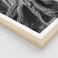Plakat w ramie 30x40 - Siła Natury - czarno biała fotografia, korzenie wielkiego drzewa - rama drewno