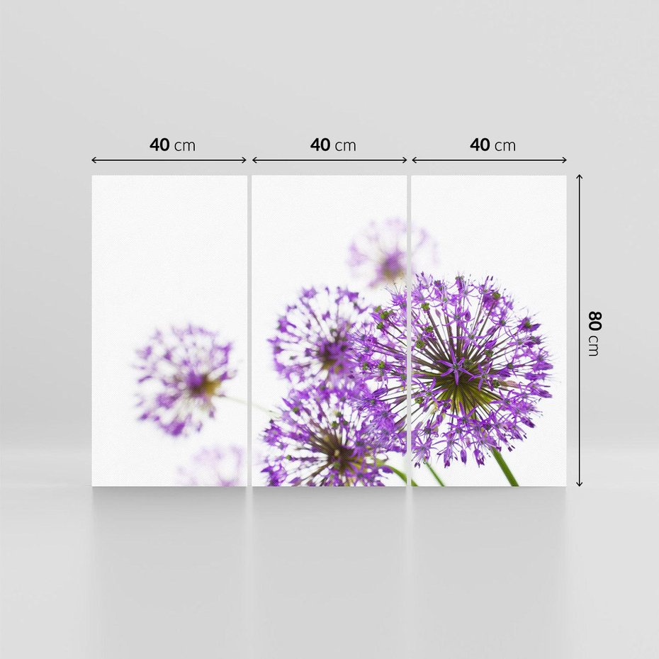 Obraz na płótnie 120x80 - Kwiatowe pejzaże: natura w rozkwicie - kwiaty, natura