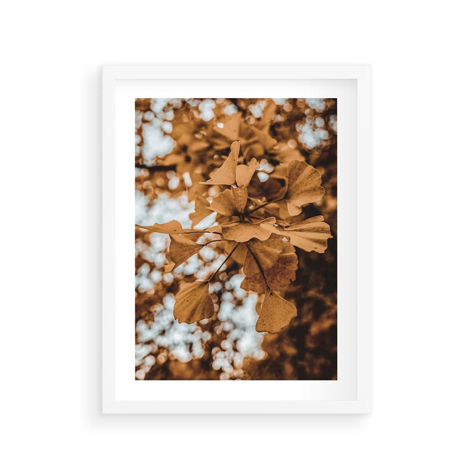 Plakat w ramie 30x40 - Nostalgiczny Miłorząb - miłorząb, liście - rama biała