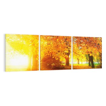 Obraz na płótnie 120x40 - Magia jesiennego lasu - las, drzewa