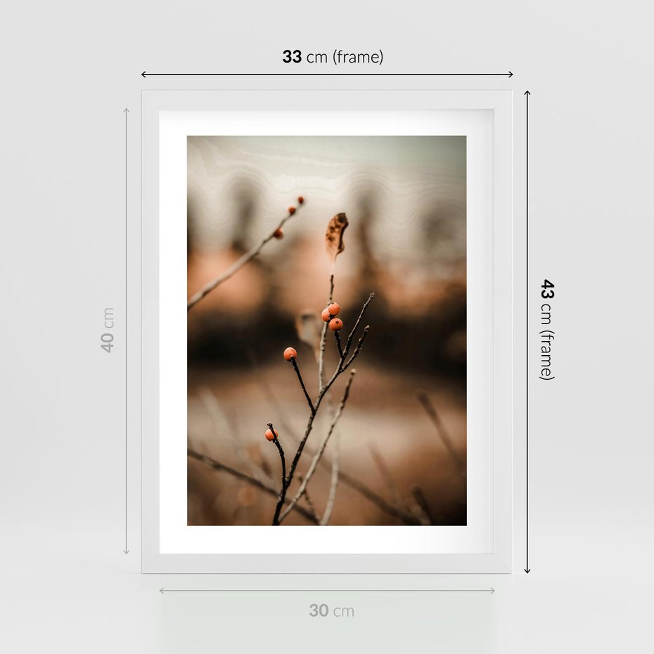 Plakat w ramie 30x40 - Jarzębina w Pejzażu - jesień, gałązka - rama biała