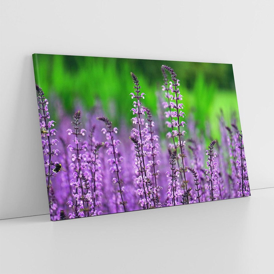 Obraz na płótnie 70x50 - Lawendowy urok - lawenda, kwiaty