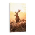 Obraz na płótnie 80x120 - Magia jesiennego słońca: Jeleń w promieniach - jeleń, jesień