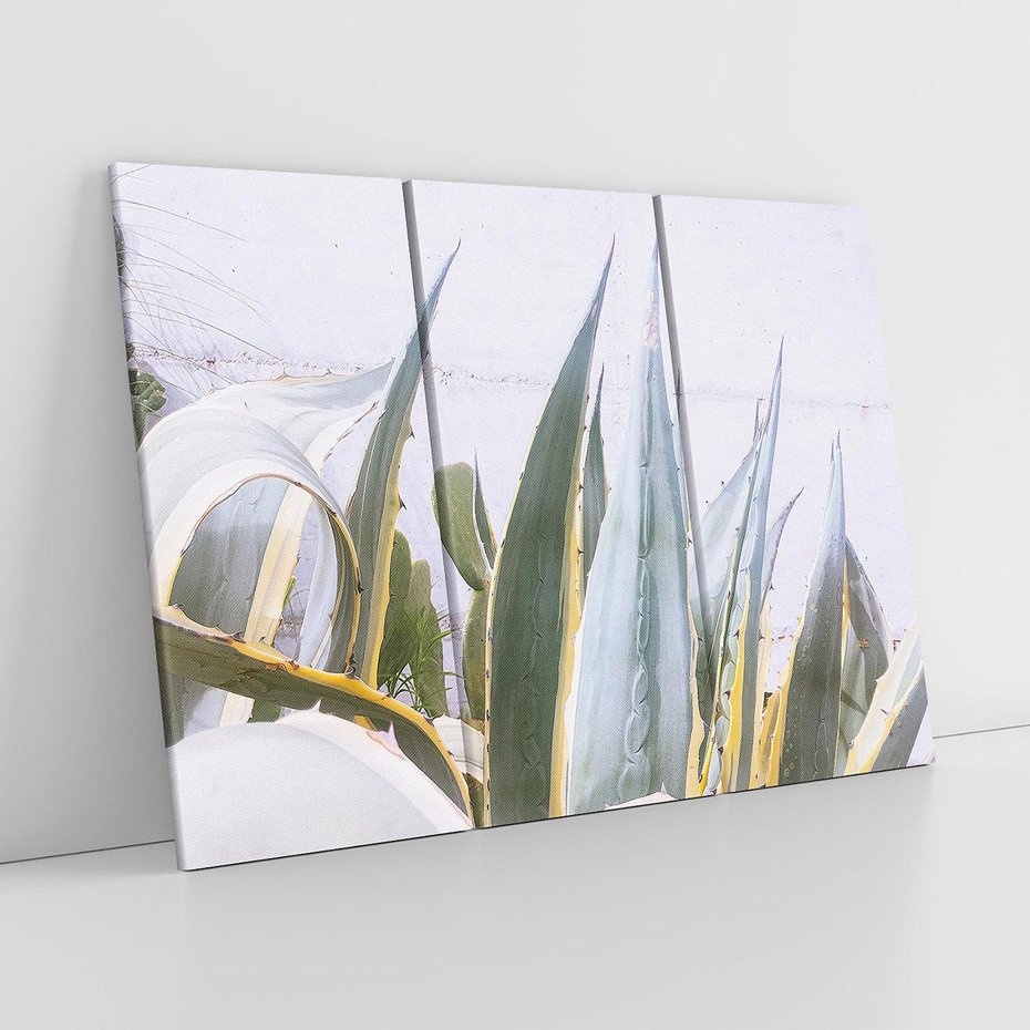 Obraz na płótnie 120x80 - Sukulentowe liście - liście, sukulenty