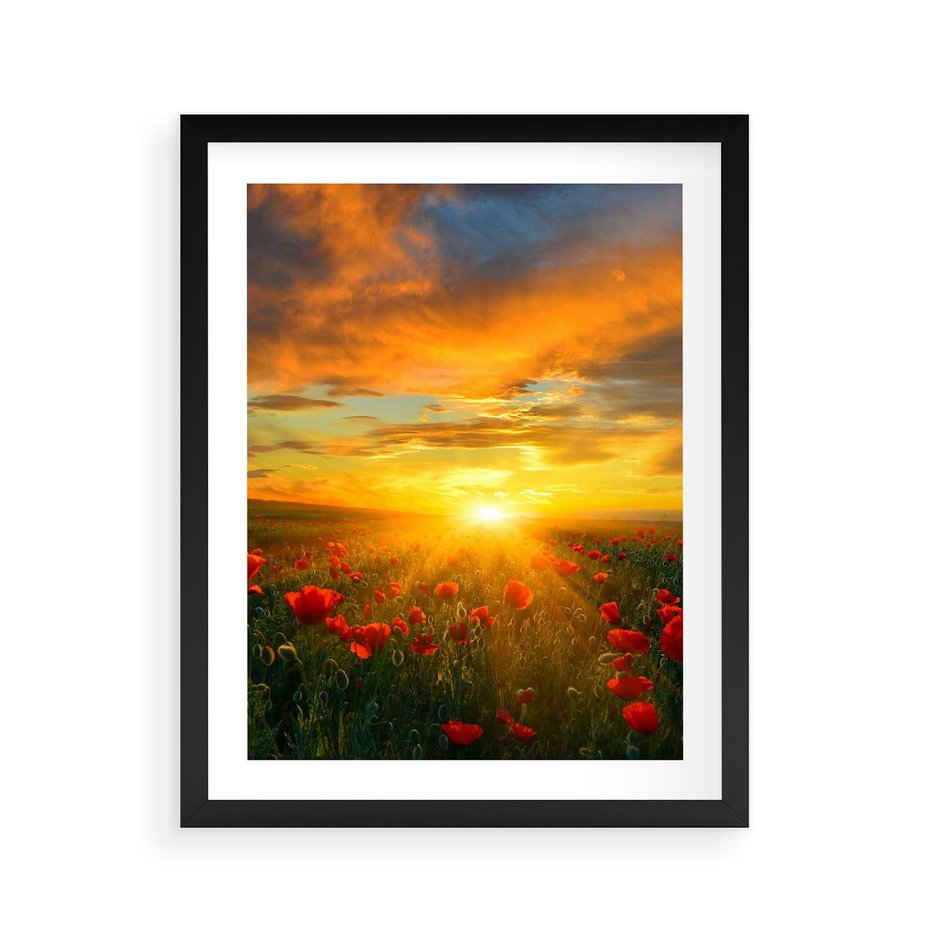 Plakat w ramie 40x50 - Magia zachodu słońca na łące z makami - łąka, zachód słońca - rama czarna