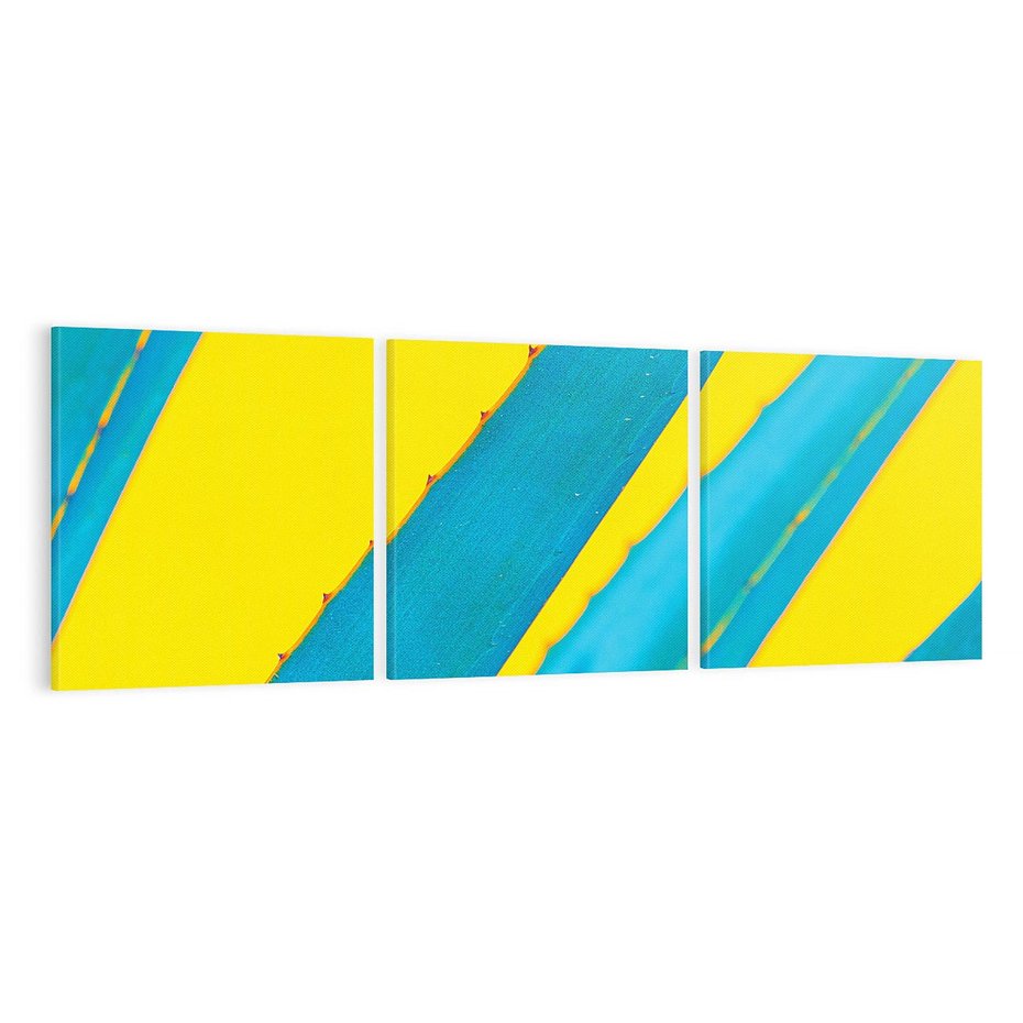 Obraz na płótnie 120x40 - Świeżość Natury - aloes, liście