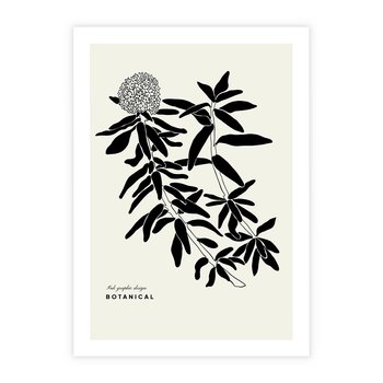 Plakat bez ramy 21x30 - Szept kwiatowej wyobraźni - czarno biała grafika, roślinność
