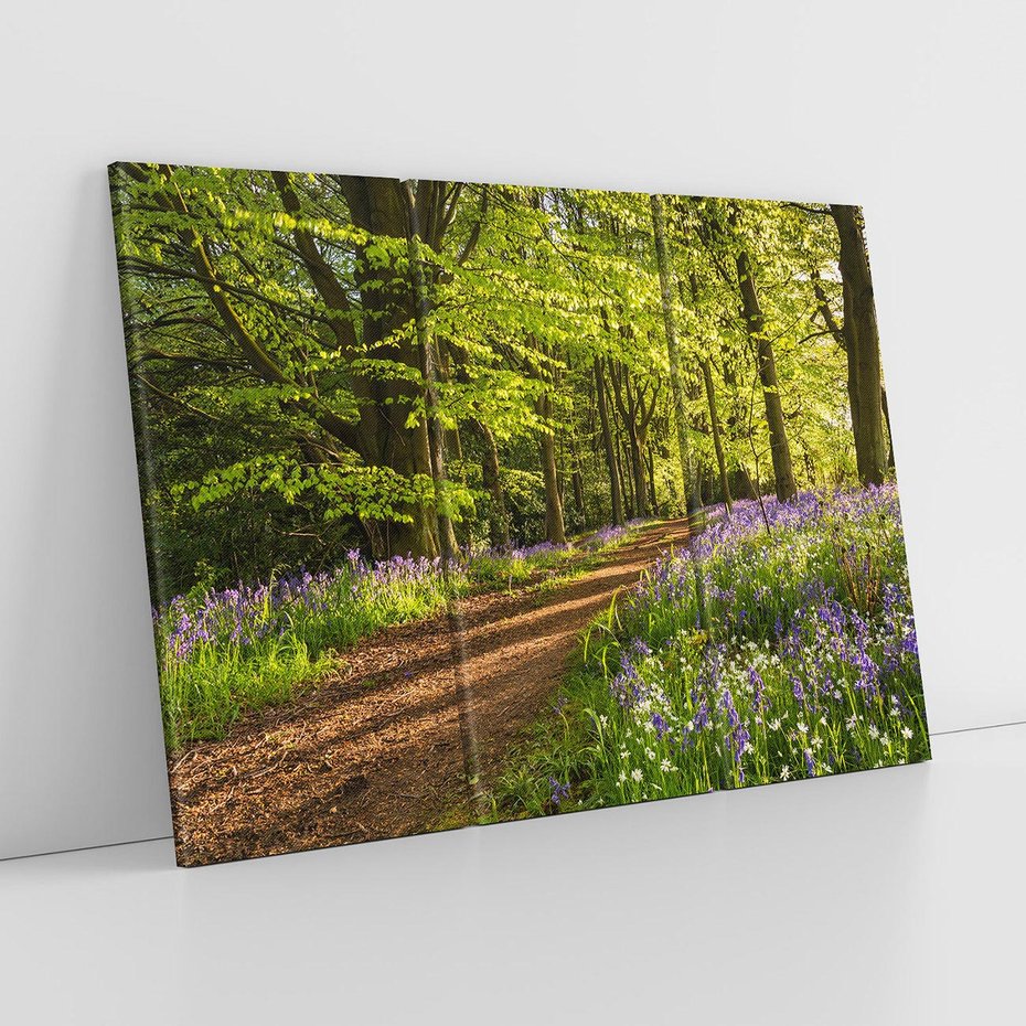 Obraz na płótnie 120x80 - Magia lasu: Drzewa w tajemniczej otoczce - las, drzewa