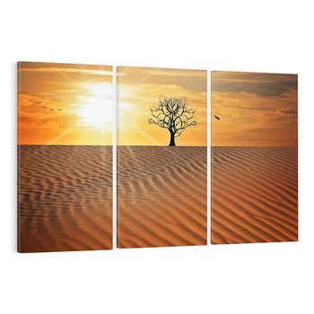 Obraz na płótnie 120x80 - Pustynia - Drzewo i słońce - pustynia, drzewo
