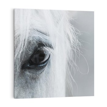 Obraz na płótnie 60x60 - Oko Mocy - czarno białe zdjęcie, zbliżenie makro na oko konia