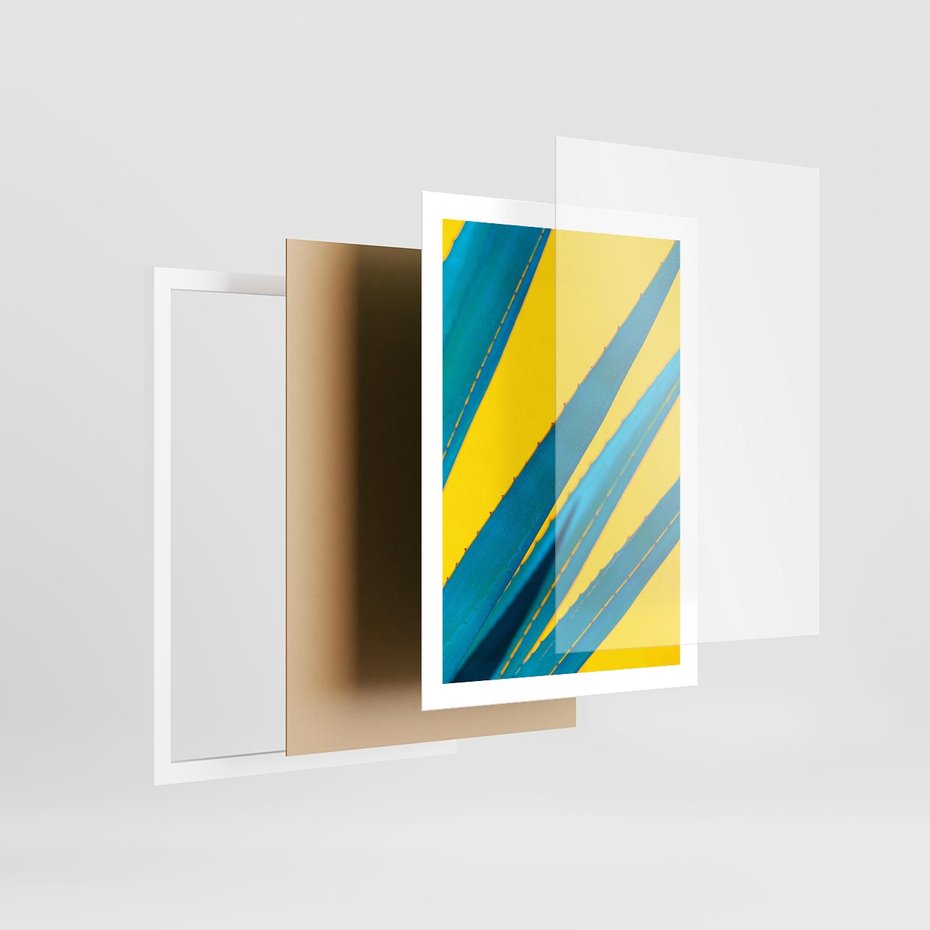 Plakat w ramie 50x70 - Świeżość Natury - aloes, liście - rama biała