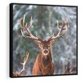 Obraz w ramie 50x50 - Monarcha Zimowej Dziczy - jeleń, zima - rama czarna