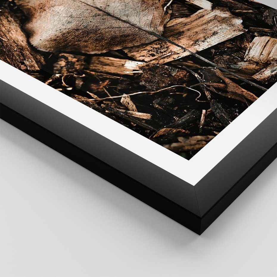 Plakat w ramie 30x40 - Samotny Liść - liść, brąz - rama czarna