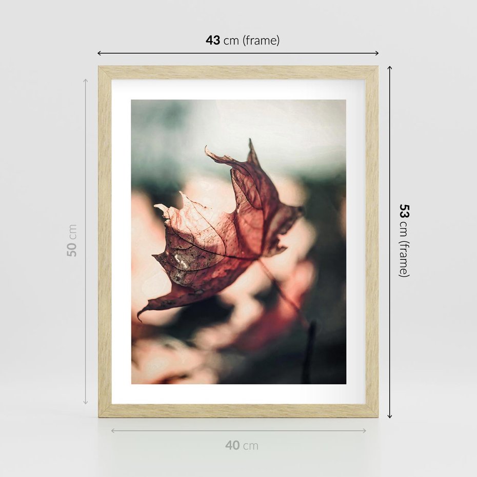 Plakat w ramie 40x50 - Liść w Jesieni - jesienny liść, czerwony - rama drewno