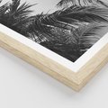 Plakat w ramie 50x70 - Palmy w Monochromii - palmy, tropikalne palmy - rama drewno