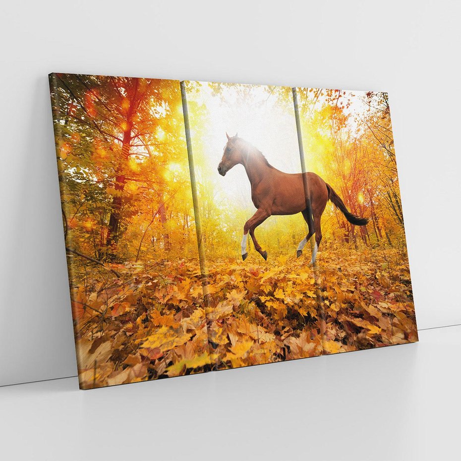 Obraz na płótnie 120x80 - Moc konia w zachodzie słońca - koń, słońce