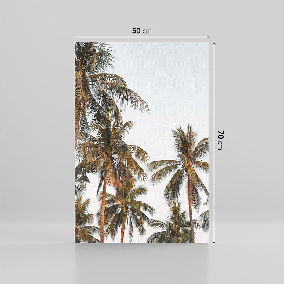 Obraz na płótnie 50x70 - Palmy - tęsknota za Hawajami - palmy, Hawaje