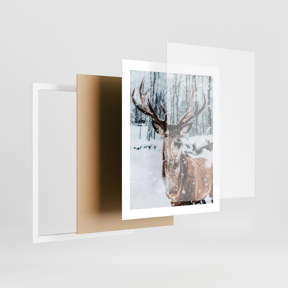 Plakat w ramie 40x50 - Jeleń na Zdjęciu pod Śniegiem - jeleń, zima - rama biała