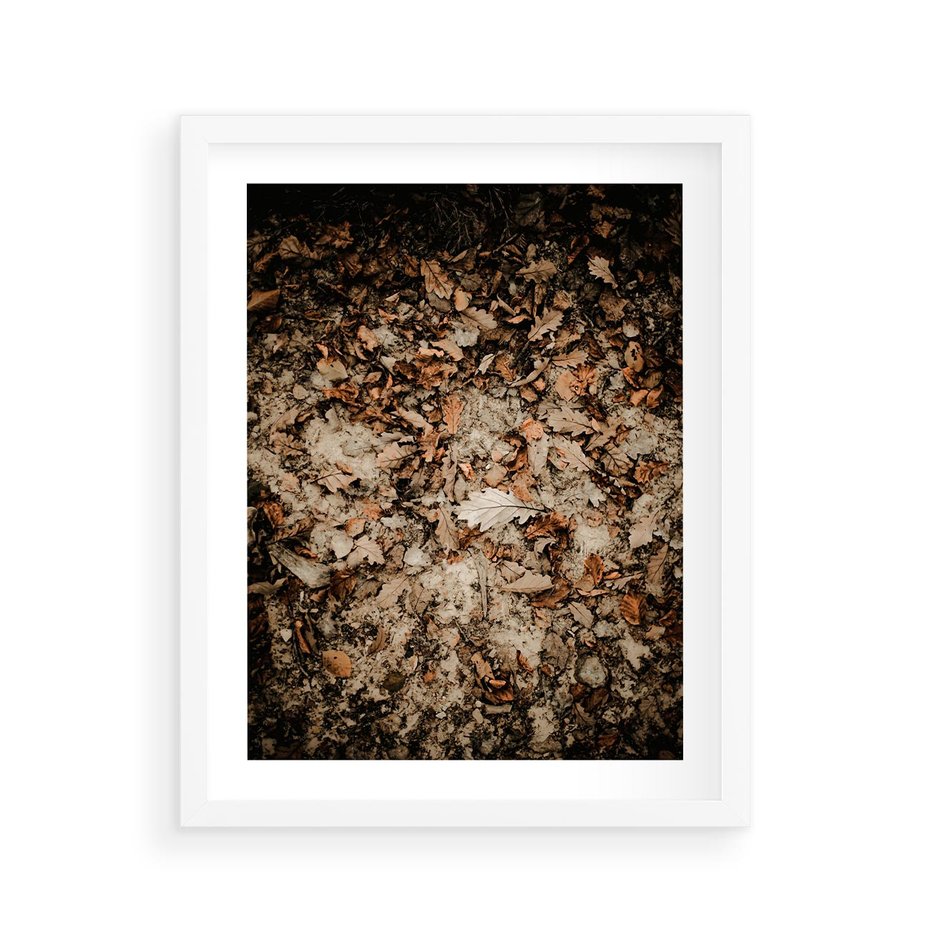 Plakat w ramie 40x50 - Suchość Liści w Brązowych Tonach - suche liście jesień brąz - rama biała