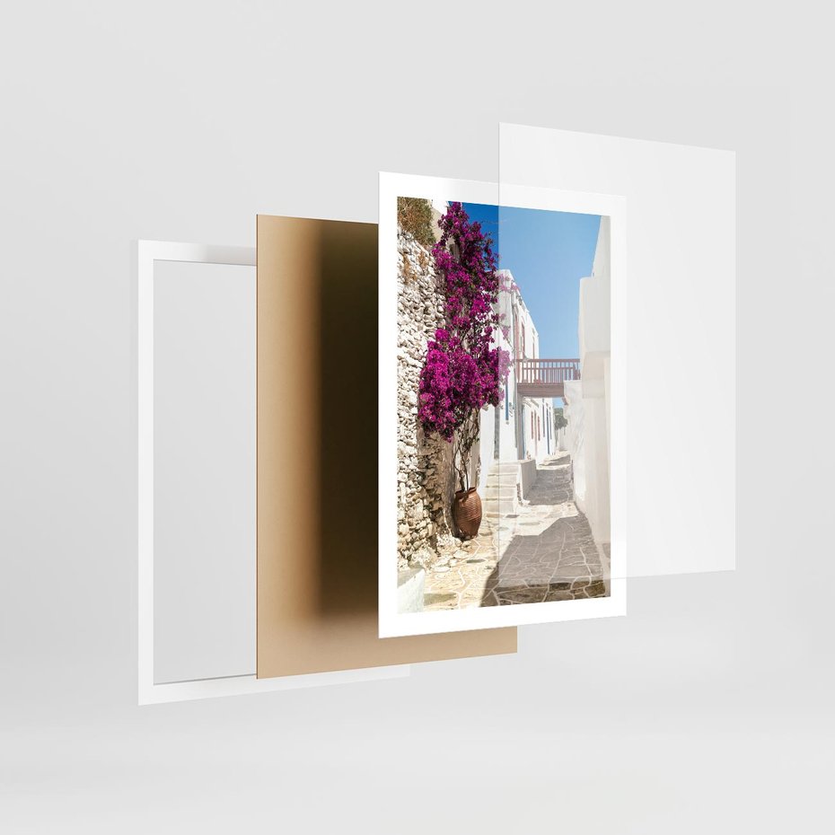 Plakat w ramie 50x70 - Kwiaty Chorwacji - kwiaty, Chorwacja - rama biała