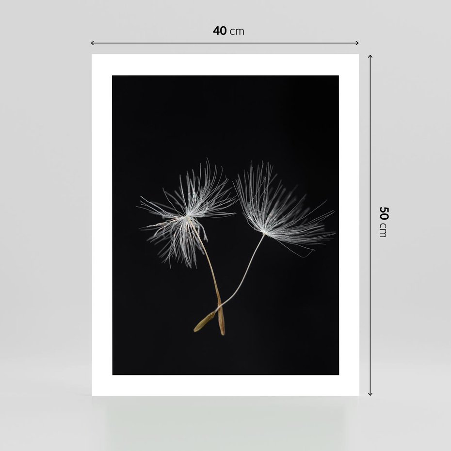 Plakat bez ramy 40x50 - Delikatność Wiatru - dmuchawce, makro