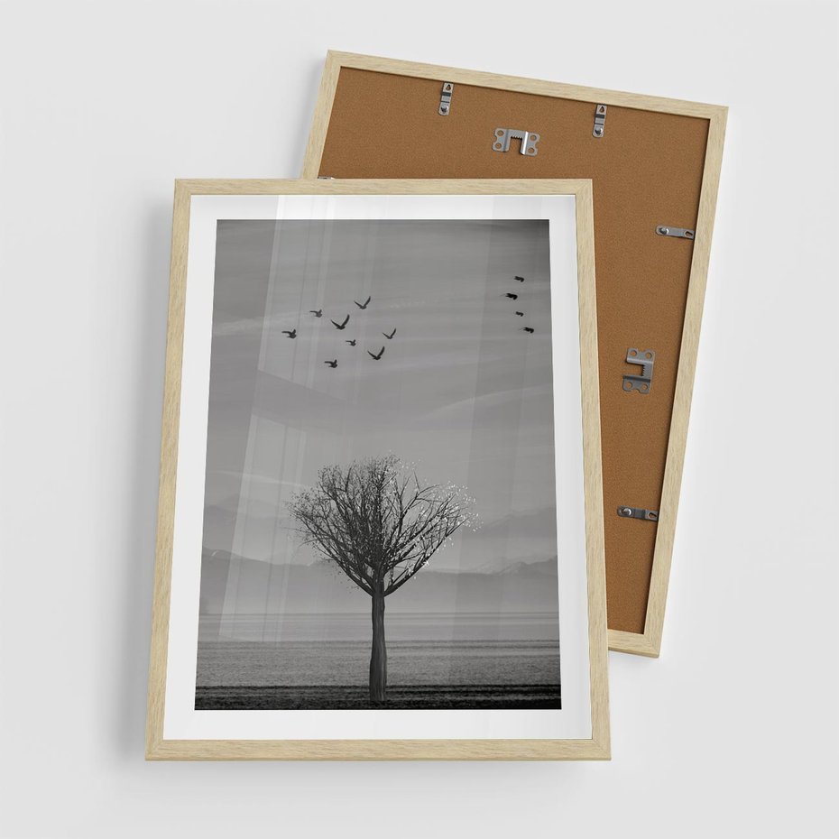Plakat w ramie 50x70 - Samotne Drzewo - samotne drzewo w polu, czarno białe zdjęcie - rama drewno