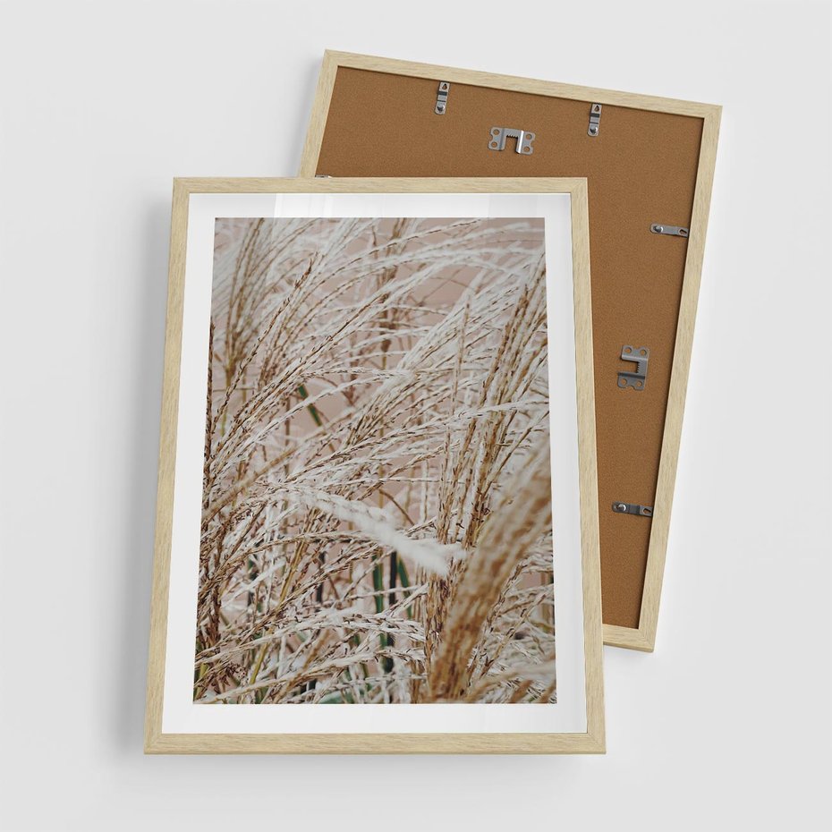 Plakat w ramie 50x70 - Beżowa Trawa - suche trawy, zbliżenie - rama drewno