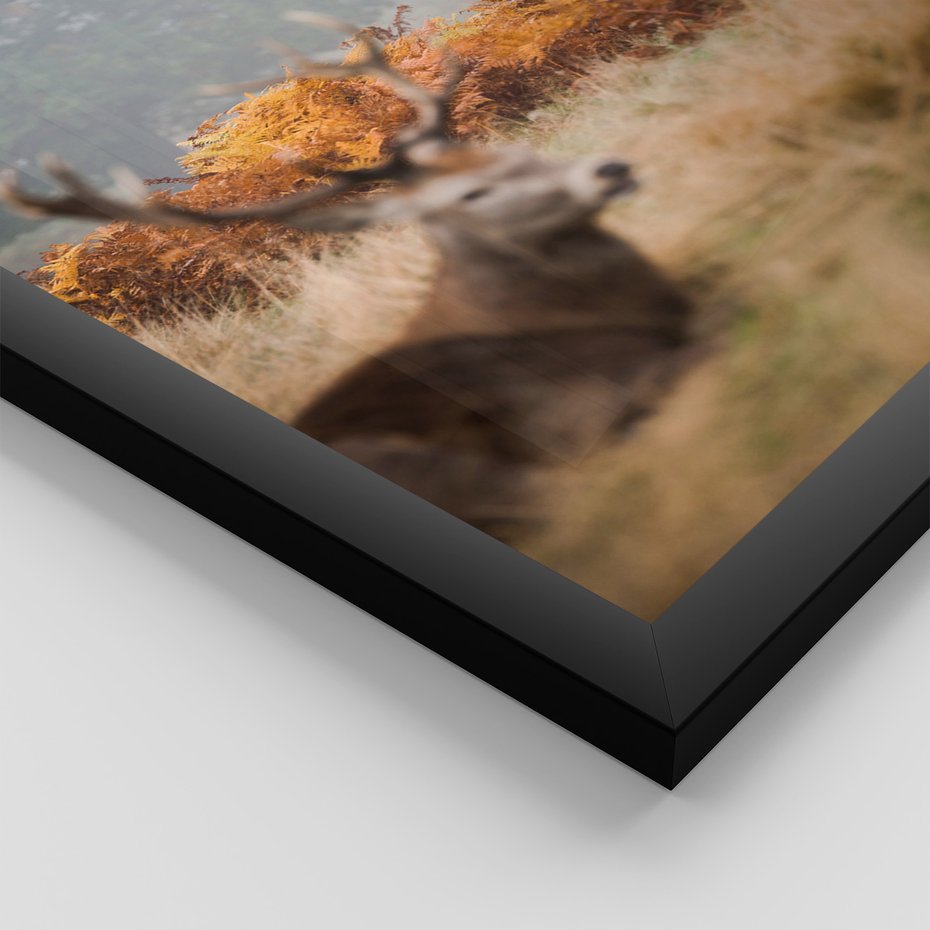 Zestaw obrazy w ramie 30x40 galeria - Góry, jelenie, skandynawski, las - rama czarna