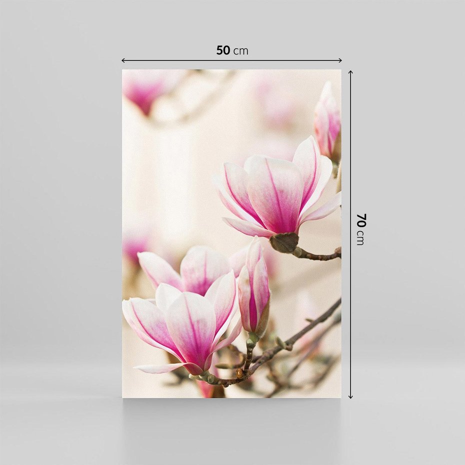 Obraz na płótnie 50x70 - Urok Magnolii - magnolie, kwiaty