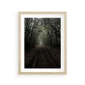 Plakat w ramie 30x40 - Urok Drogi - las, droga - rama drewno