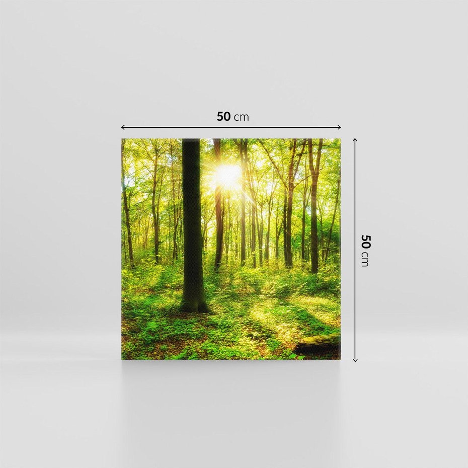 Obraz na płótnie 50x50 - Mistyfikujący las - las, drzewa