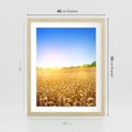 Plakat w ramie 40x50 - Żyzne Pola - pole, pszenicy - rama drewno