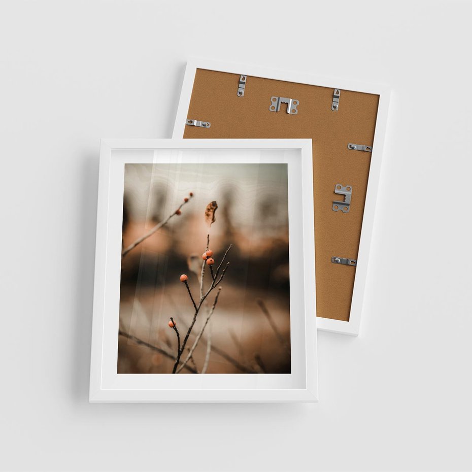 Plakat w ramie 40x50 - Jarzębina w Pejzażu - jesień, gałązka - rama biała