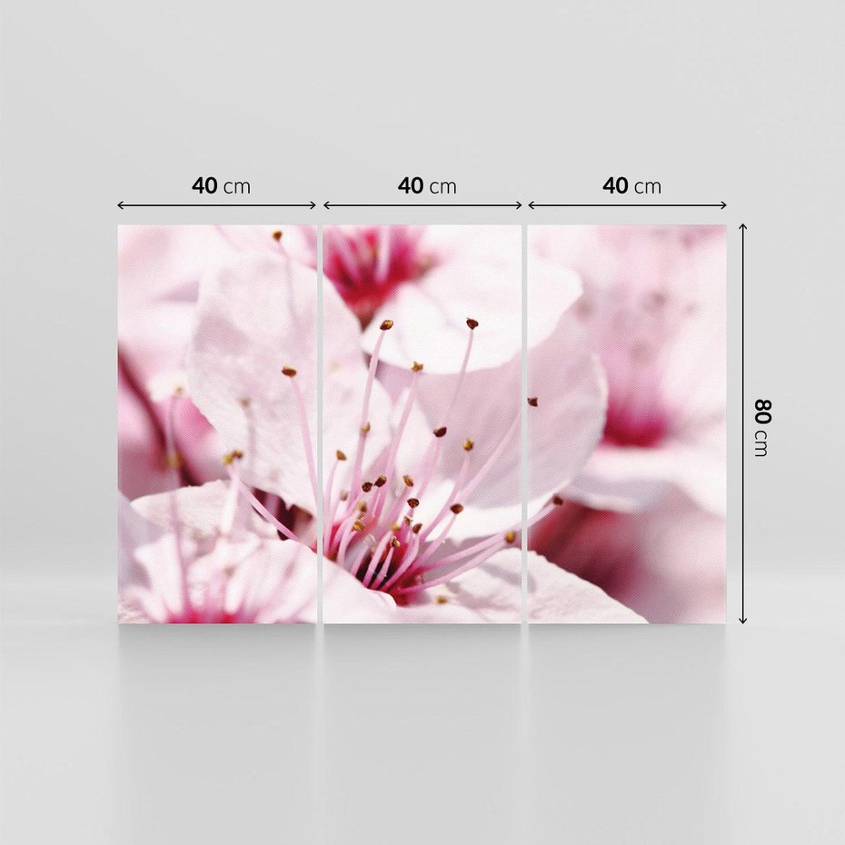 Obraz na płótnie 120x80 - Kwitnąca Wiśnia - kwiaty, kwitnąca