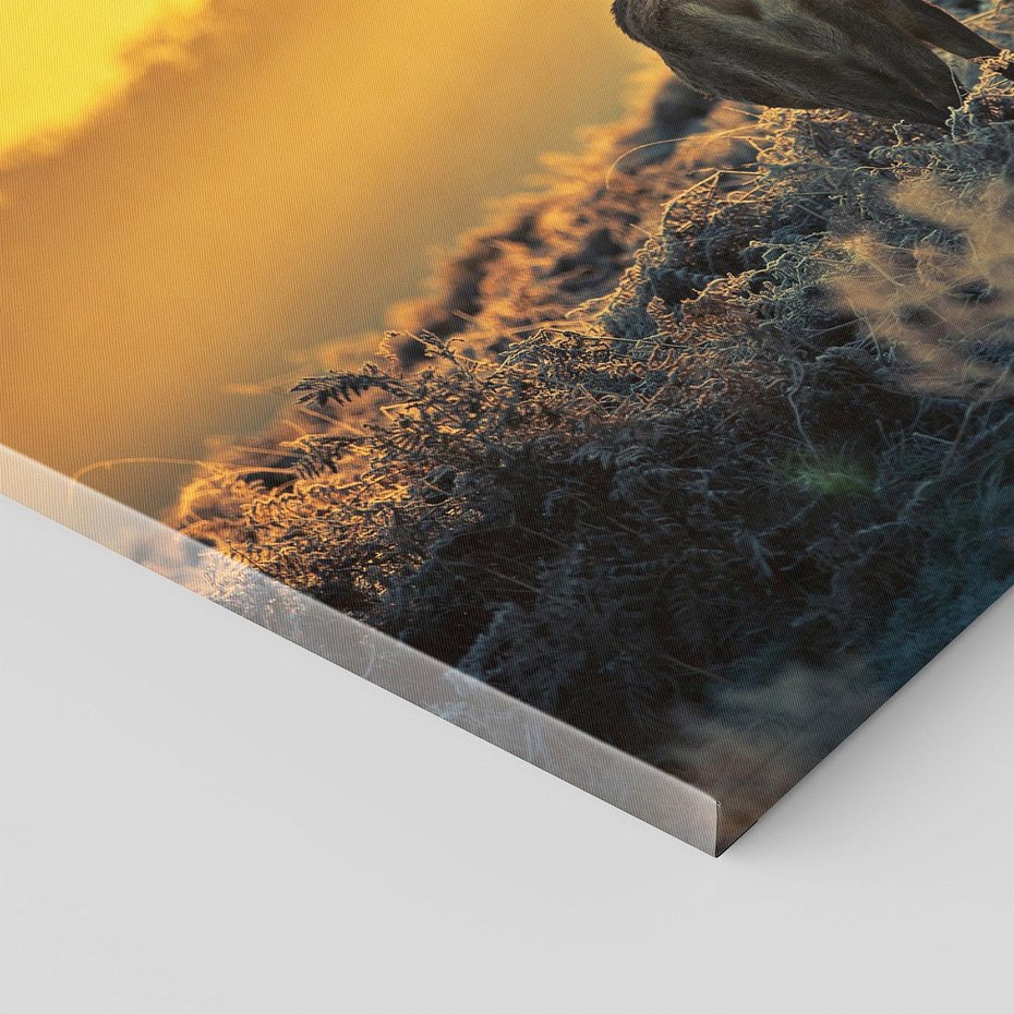 Obraz na płótnie 100x70 - Jesienne Spotkanie w Lesie - jeleń, jesień