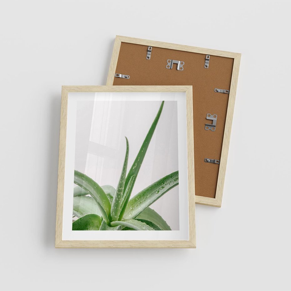 Plakat w ramie 40x50 - Zielone Piękno - aloes, liście - rama drewno