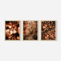 Zestaw obrazy w ramie 30x40 galeria - Liście, las, ścieżka - rama drewno