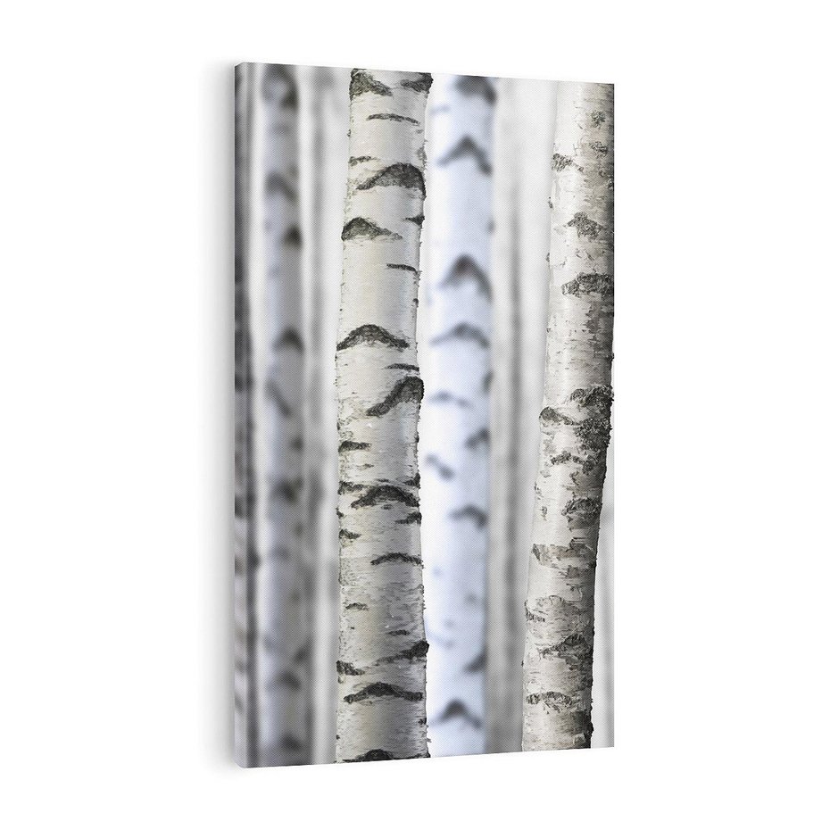 Obraz na płótnie 70x100 - Delikatność brzóz - brzozy, las
