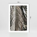 Plakat bez ramy 50x70 - Egzotyczne Gałęzie - suche gałęzie, liście palmy