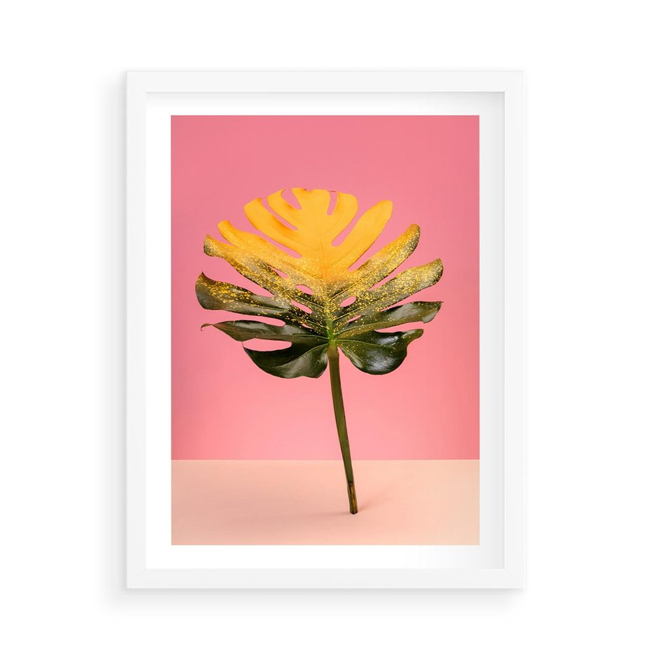Plakat w ramie 50x70 - Majestatyczna monstera - monstera, liść - rama biała