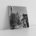 Obraz na płótnie 40x40 - Pustynny Klimat - czarno białe zdjecie, pustynia