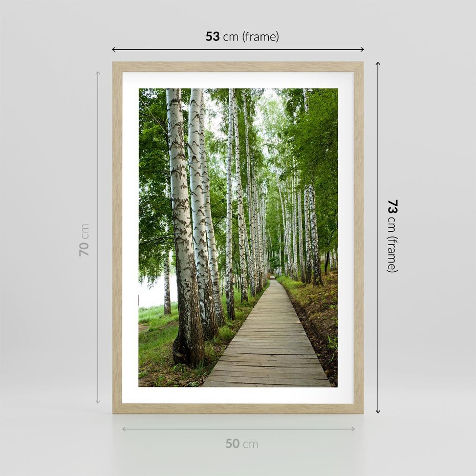 Plakat w ramie 50x70 - Spacer ścieżką przez brzozowy las - las, ścieżka - rama drewno