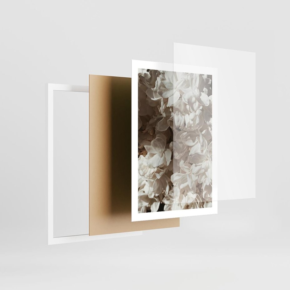 Plakat w ramie 50x70 - Płatki w Detalu - białe kwiaty, zbliżenie - rama biała