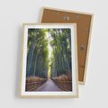 Plakat w ramie 50x70 - Urokliwa dróżka w lesie - las, dróżka - rama drewno