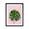 Plakat w ramie 50x70 - Monstera w Różowym Świetle - liść monstery, różowe tło - rama czarna