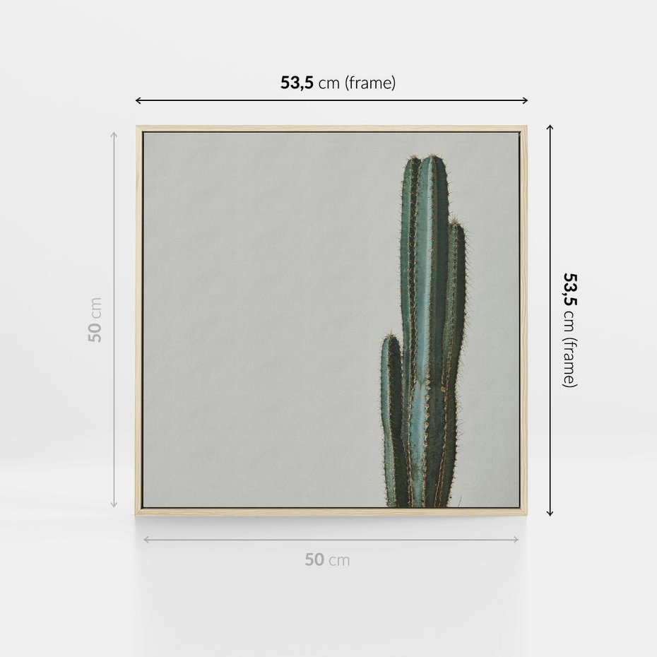 Obraz w ramie 50x50 - Zieleń i Subtelność - kaktusy, liście - rama drewno