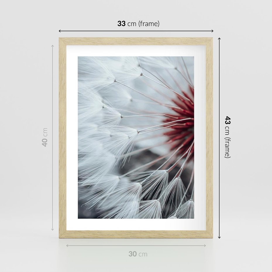 Plakat w ramie 30x40 - Makro Magii Natury - dmuchawiec, zbliżenie makro - rama drewno