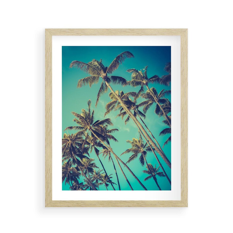 Plakat w ramie 40x50 - Tropikalne palmy w krainie słonecznych wakacji - palmy, tropiki - rama drewno