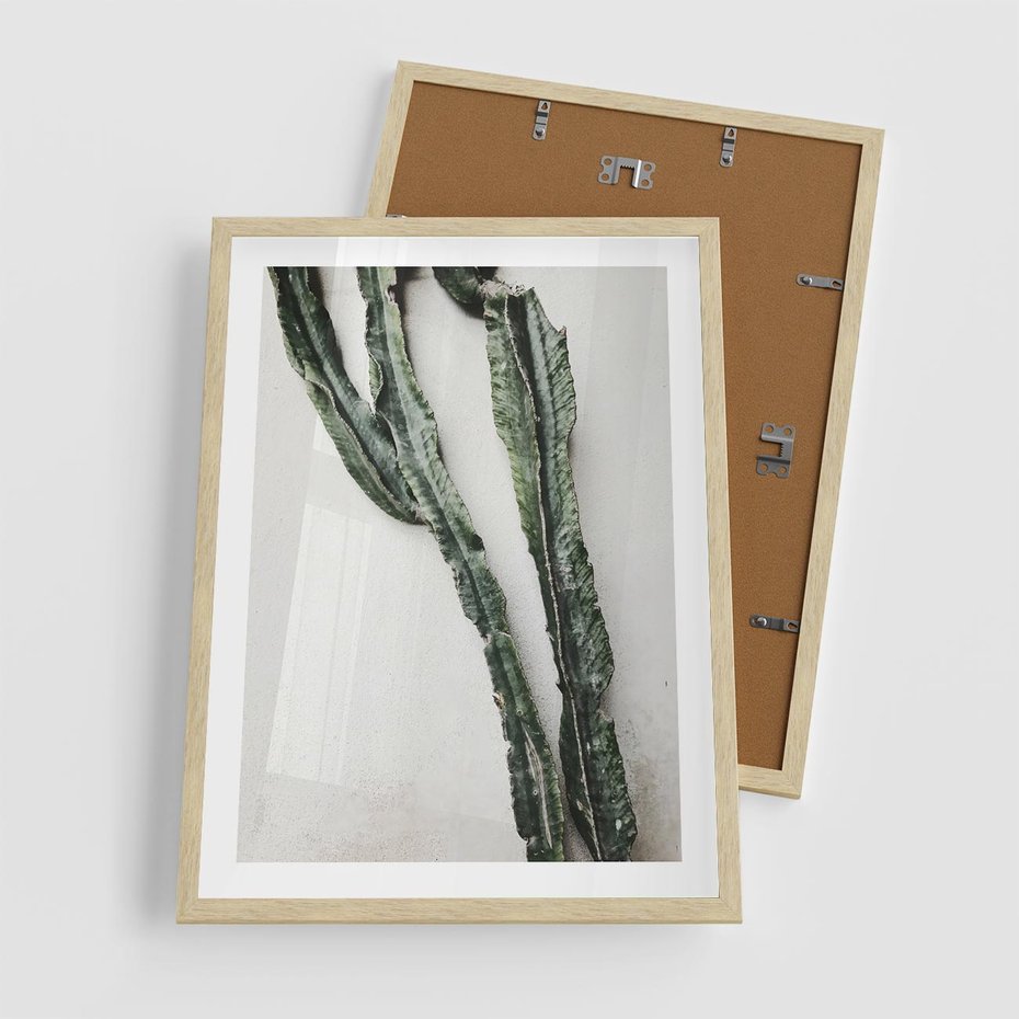 Plakat w ramie 50x70 - Zielona Roślina z Liśćmi - zielona roślina, liście - rama drewno