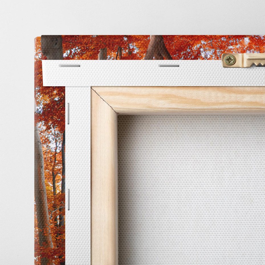 Obraz na płótnie 50x70 - Magia jesiennego lasu - las, jesień